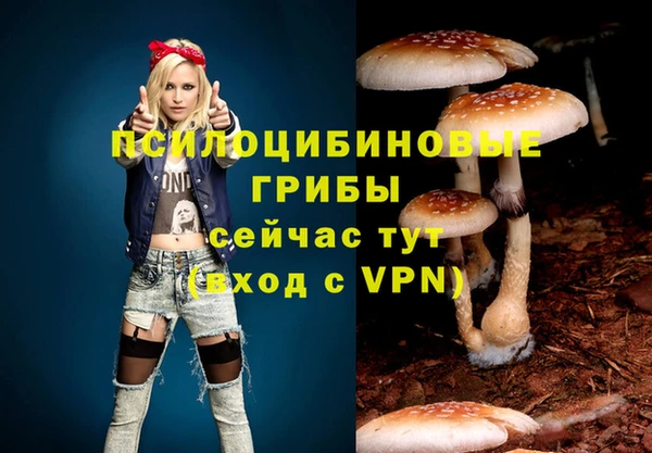 бошки Алексин