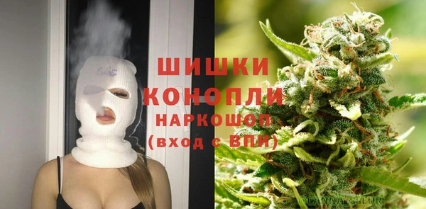 сатива Абинск