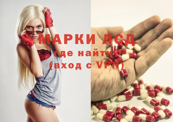 сатива Абинск