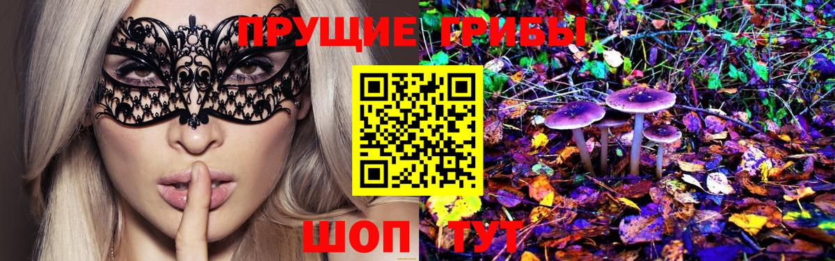 Галлюциногенные грибы MAGIC MUSHROOMS  Вход с VPN  купить  сайты  Астрахань  Псилоцибиновые грибы ЛСД 