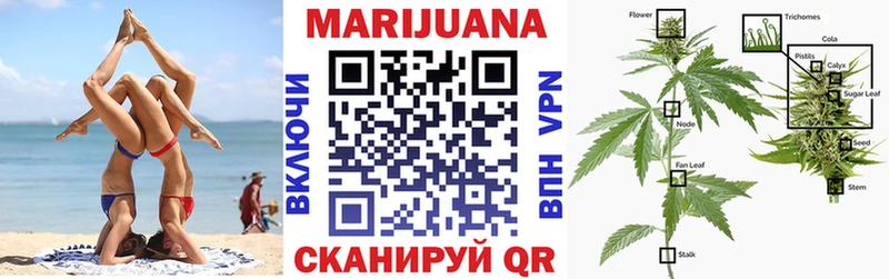 Бошки Шишки тримм Астрахань